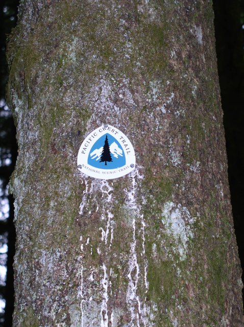 6.10.06 Table Mtn_3CR 004 